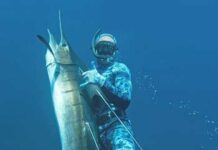 Критерии выбора ласт для подводной охоты