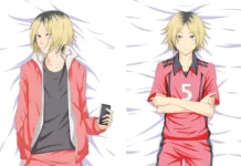 Причины популярности дакимакуры