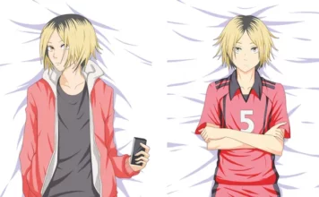 Причины популярности дакимакуры