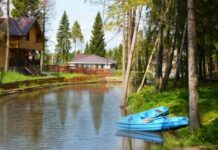 Плюсы отдыха в Подмосковье