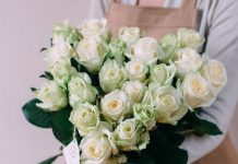 Розы: непобедимая классика