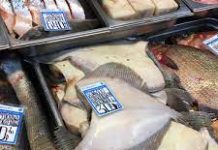 Рыбный магазин в Спб