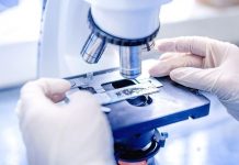 Фолликулометрия: метод контроля овуляции и шансов на зачатие