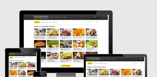 Как правильно установить шаблон на DLE?